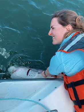 PhD student Jess Schulte handling a broadnose sevengill shark