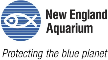 New England Aquarium: Protecting the blue planet