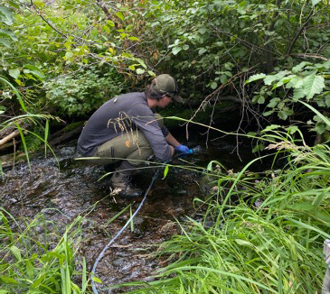 Person stands in stream, crouching under a bush collecting a sample from the water.