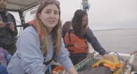 Shark Research - Oregon State University's Big Fish Lab