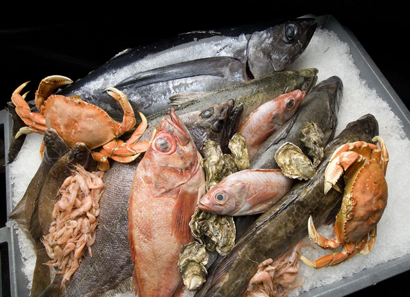 Several types of seafood for market